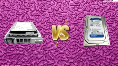 SAS VS SATA